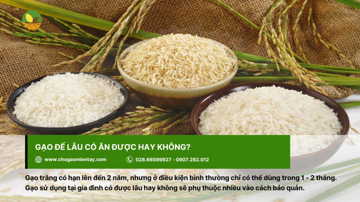 Gạo để lâu có ăn được không? Gạo để được bao lâu?