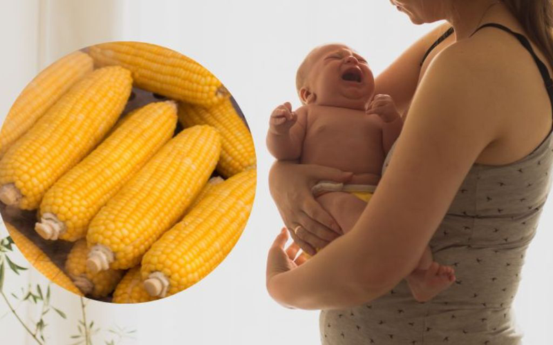 Ăn bắp có mất sữa không? Tìm hiểu thực hư về việc ăn bắp ngô ở phụ nữ sau sinh